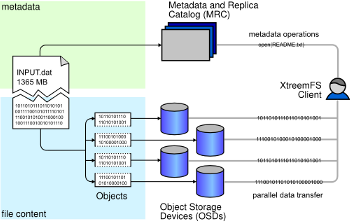 XtreemFS architecture diagram